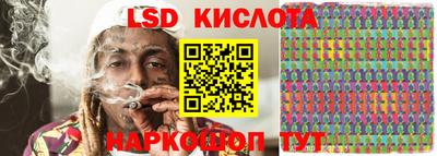 прущие грибы Будённовск