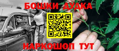 прущие грибы Будённовск