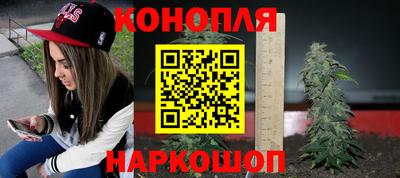прущие грибы Будённовск