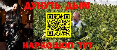 прущие грибы Будённовск