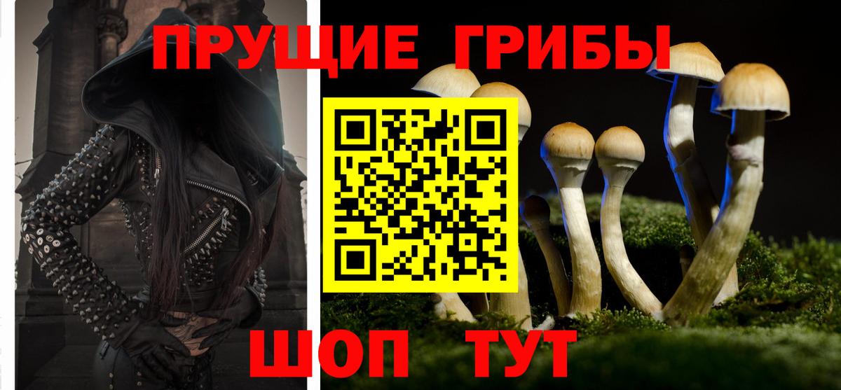 Галлюциногенные грибы Magic Shrooms Псков