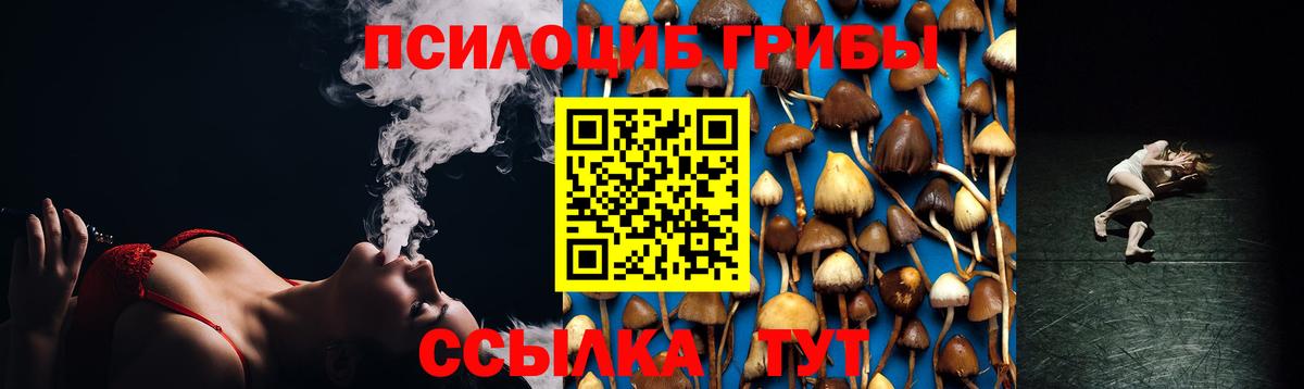 Псилоцибиновые грибы мицелий  Вход с VPN  Псков 